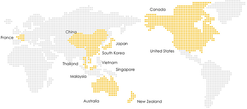 世界11か国の事業展開先の地図